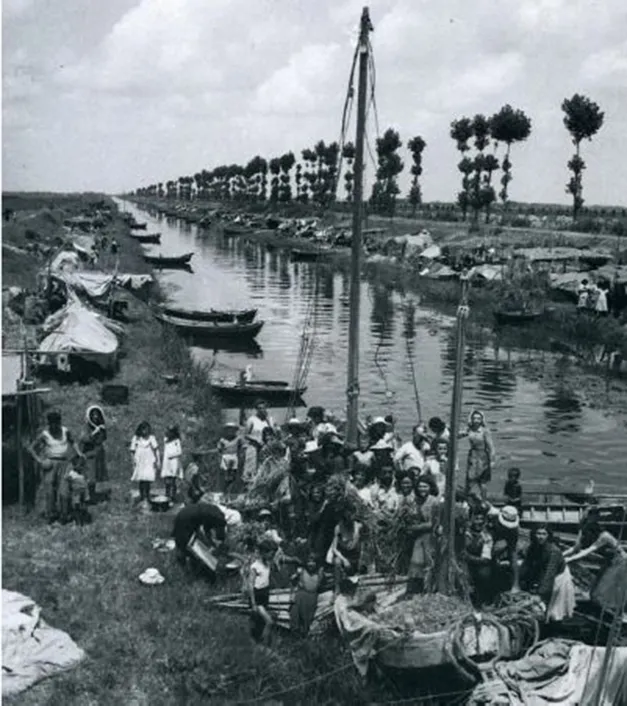 Accampamento di barche e casoni lungo un canale delle Valli di Goro, fotografia storica